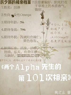 [AA]两个Alpha先生的第101次相亲