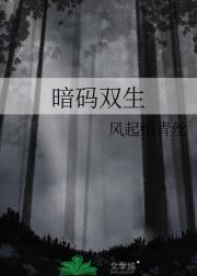 暗码双生