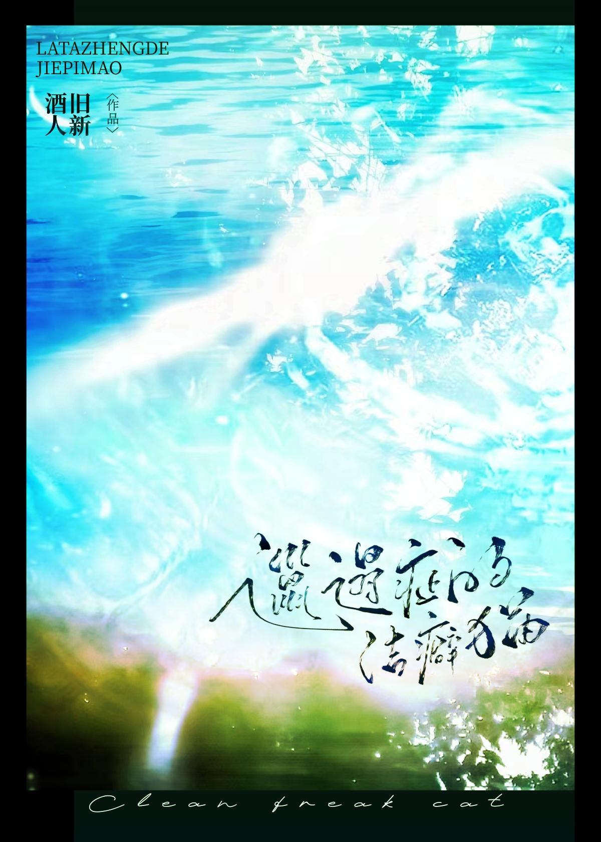 邋遢症的洁癖猫